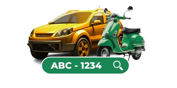 MTMIS Pakistan Vehicle Verification